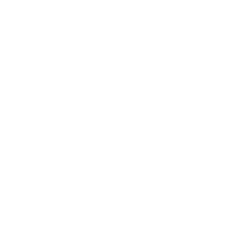 Fixed Income Securities